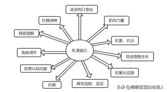 蛋白粉有氧后喝_蛋白粉有氧运动_有氧运动后 蛋白粉
