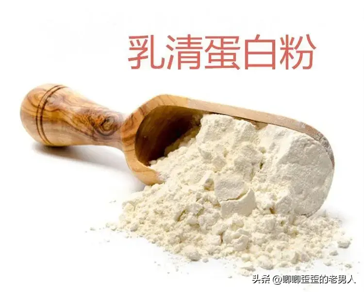 蛋白粉有氧后喝_蛋白粉有氧运动_有氧运动后 蛋白粉