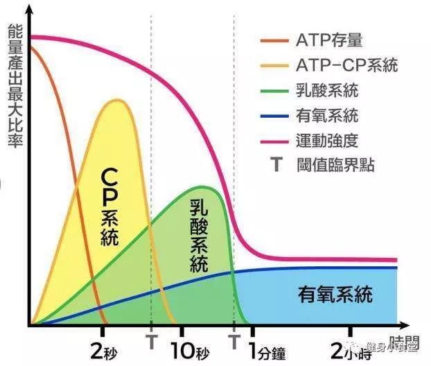 蛋白粉有氧后喝_蛋白粉有氧运动_有氧运动后 蛋白粉