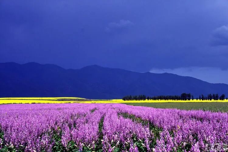 药师法门：睡光明法能在睡眠之中来修心法