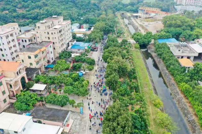 2020佛山马拉松报名查询_佛山马拉松2021_佛山马拉松2020年