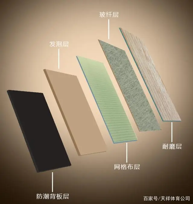 健身房地胶怎么选_健身房功能地胶训练动作_健身房运动地胶品牌