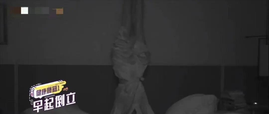 明星健身怎么不会脱发_脱发健身明星会秃头吗_脱发健身明星会恢复吗